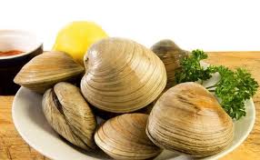 Cherrystone Clams